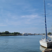 Photo de France - La randonnée de la Tamarissière